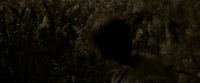 EdP-Potterish7647.jpg
