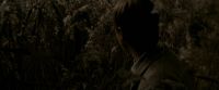 EdP-Potterish7649.jpg