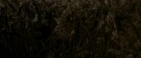 EdP-Potterish7652.jpg