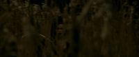 EdP-Potterish7658.jpg