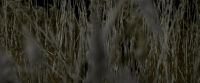 EdP-Potterish7659.jpg
