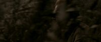 EdP-Potterish7662.jpg