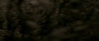 EdP-Potterish7664.jpg