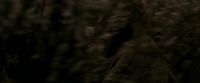 EdP-Potterish7665.jpg