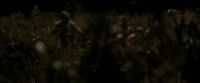 EdP-Potterish7677.jpg
