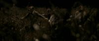 EdP-Potterish7679.jpg