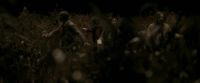 EdP-Potterish7680.jpg