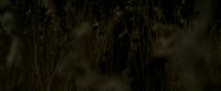 EdP-Potterish7682.jpg