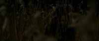EdP-Potterish7683.jpg