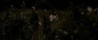 EdP-Potterish7684.jpg