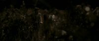 EdP-Potterish7685.jpg