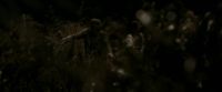 EdP-Potterish7687.jpg