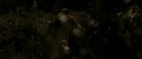 EdP-Potterish7688.jpg