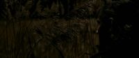 EdP-Potterish7690.jpg