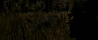 EdP-Potterish7691.jpg