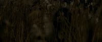 EdP-Potterish7692.jpg