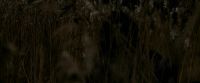 EdP-Potterish7693.jpg