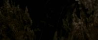 EdP-Potterish7700.jpg