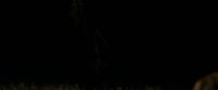 EdP-Potterish7701.jpg