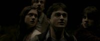 EdP-Potterish7705.jpg