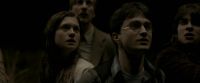 EdP-Potterish7706.jpg
