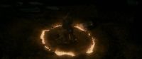 EdP-Potterish7708.jpg
