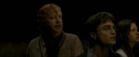 EdP-Potterish7713.jpg