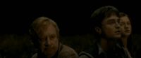 EdP-Potterish7714.jpg