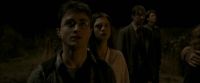 EdP-Potterish7746.jpg