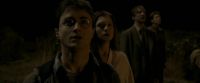 EdP-Potterish7748.jpg