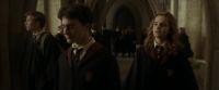 EdP-Potterish7786.jpg