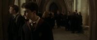 EdP-Potterish7790.jpg