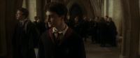 EdP-Potterish7791.jpg