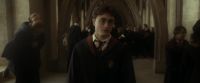 EdP-Potterish7795.jpg