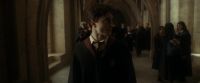 EdP-Potterish7799.jpg