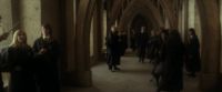 EdP-Potterish7803.jpg