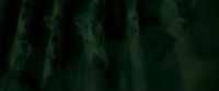 EdP-Potterish7819.jpg
