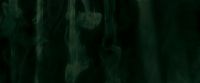 EdP-Potterish7820.jpg
