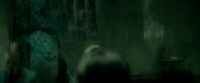 EdP-Potterish7822.jpg