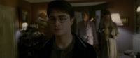 EdP-Potterish785.jpg