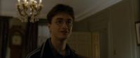 EdP-Potterish799.jpg