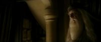 EdP-Potterish7990.jpg
