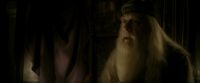 EdP-Potterish8013.jpg