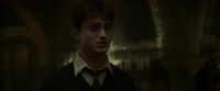 EdP-Potterish8158.jpg