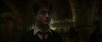 EdP-Potterish8159.jpg
