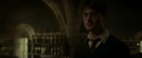 EdP-Potterish8180.jpg