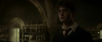 EdP-Potterish8218.jpg