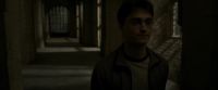 EdP-Potterish8258.jpg