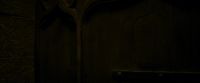 EdP-Potterish8262.jpg