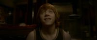 EdP-Potterish8267.jpg